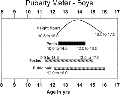 Puberty Meter - Boys