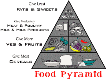 Food Pyramid